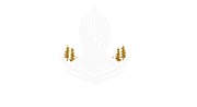 Sentinel Survivor